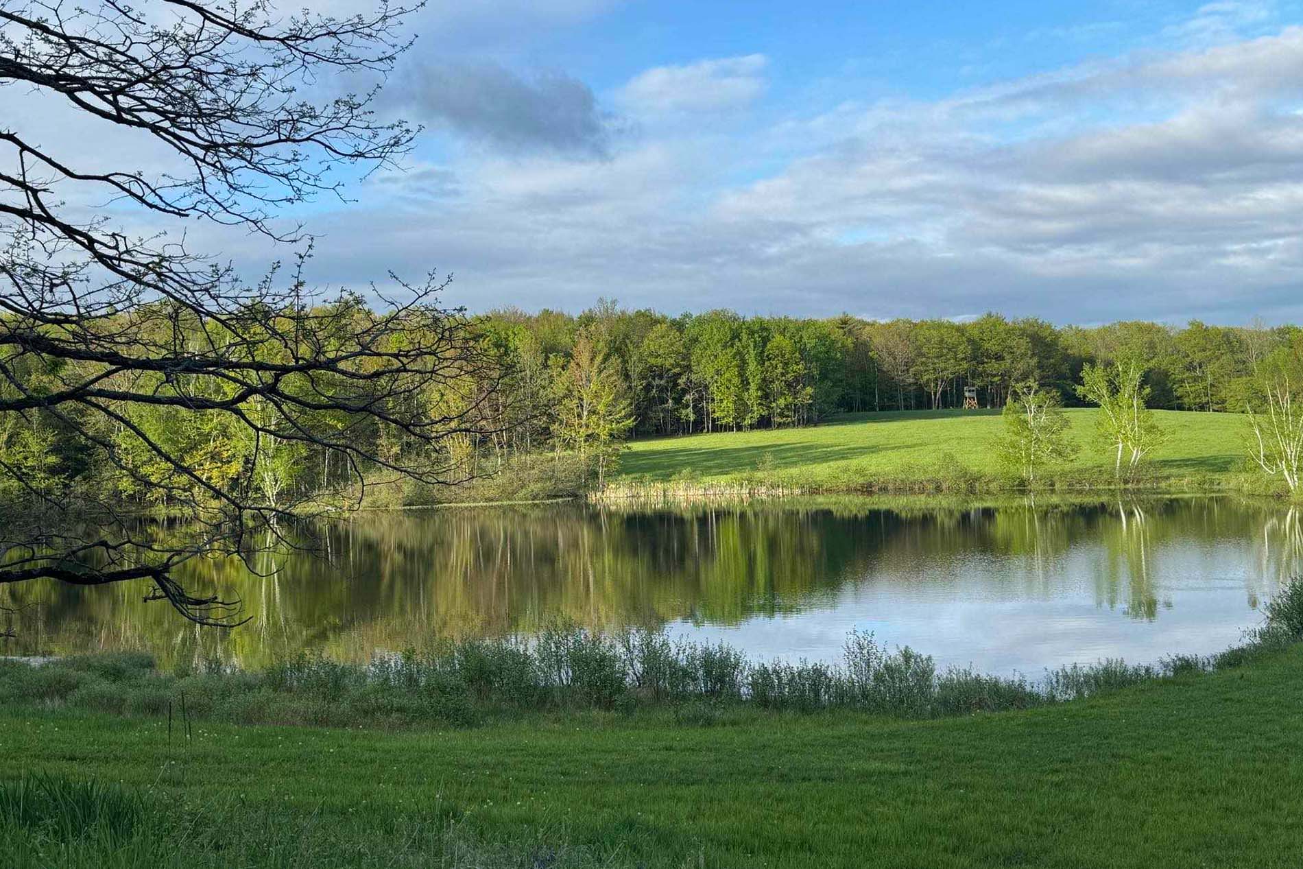 Scenic countryside near Milford
