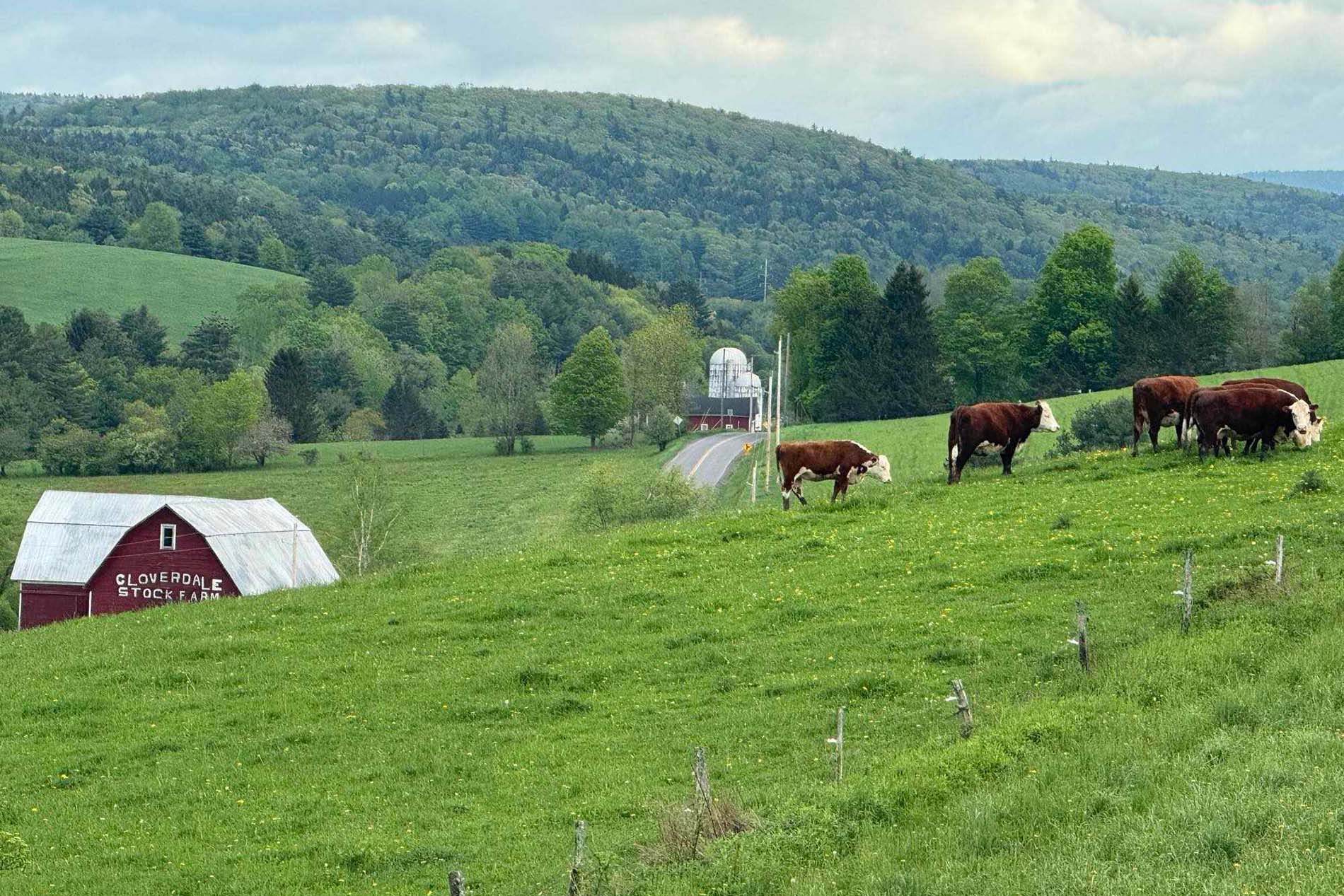 Rural landscape in Otsego County